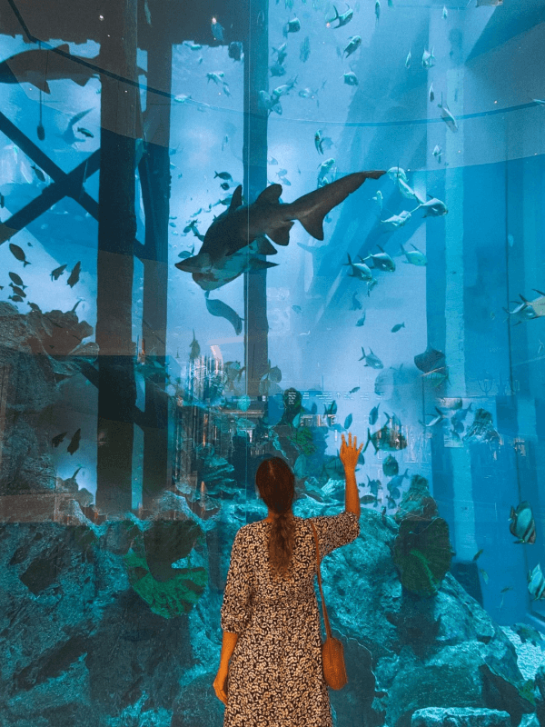Dubai Aquarium tunnel from the o